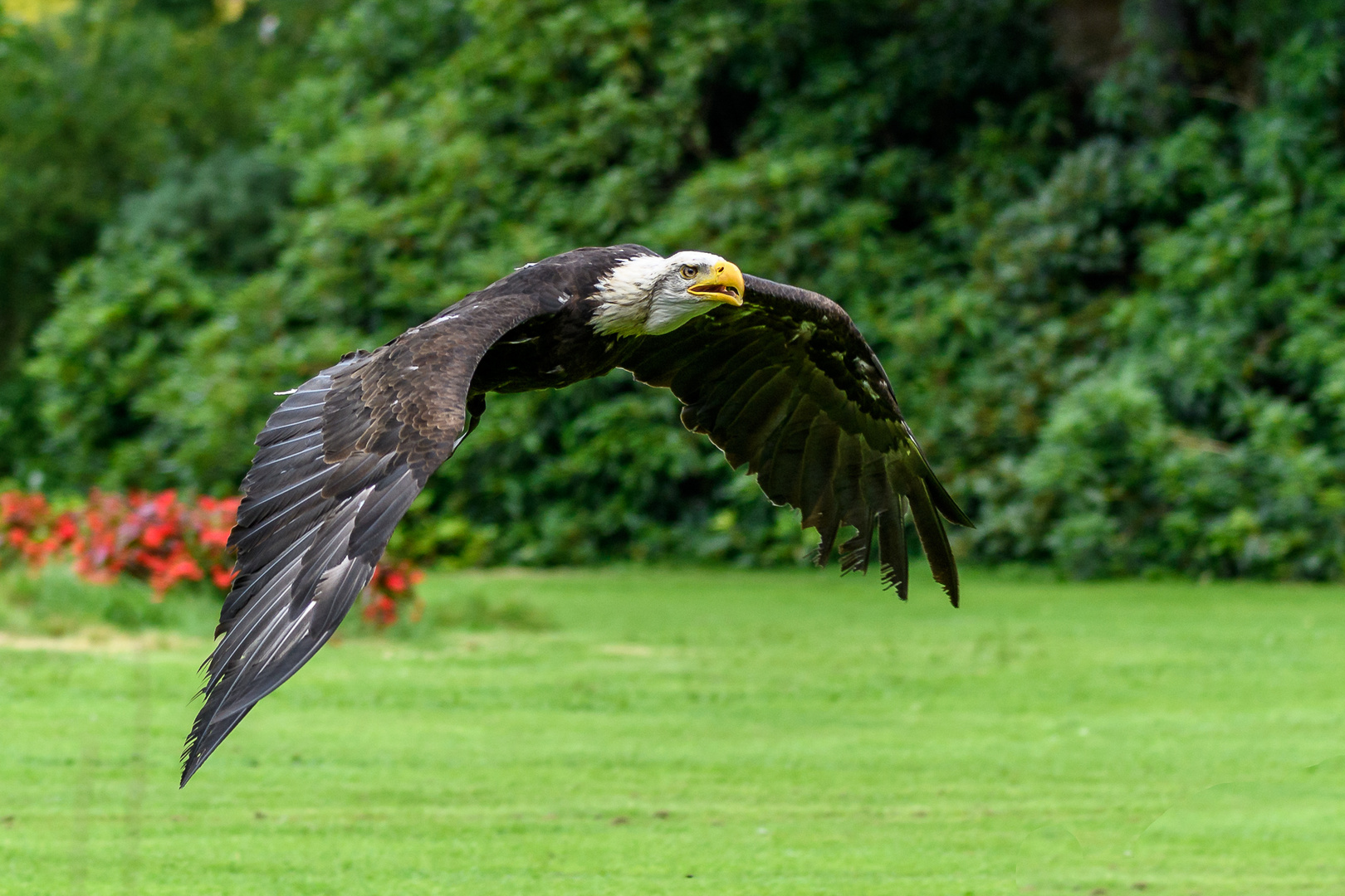 Weltvogelpark Walsrode