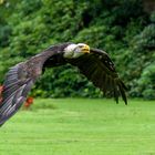 Weltvogelpark Walsrode