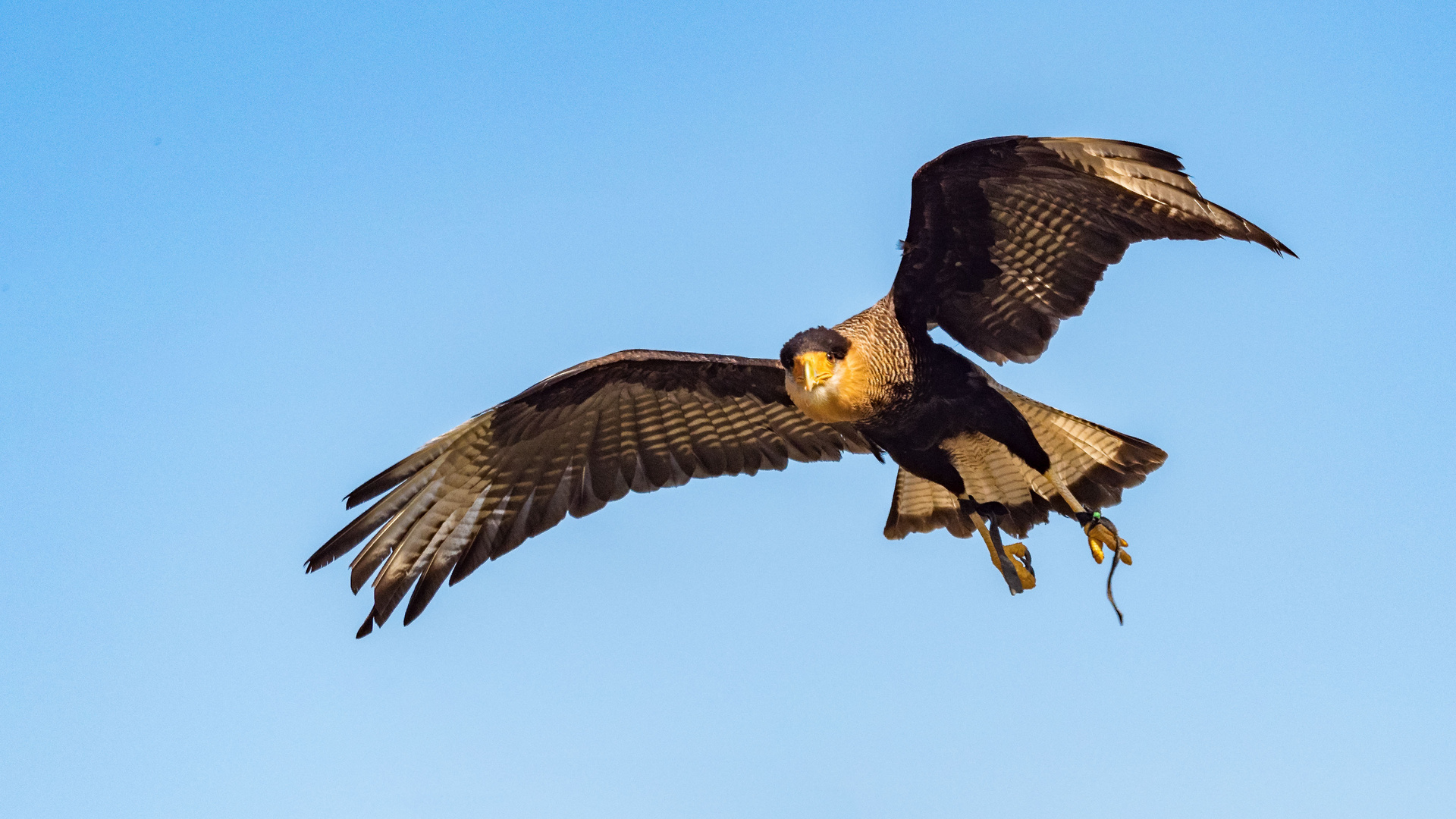 Weltvogelpark Walsrode