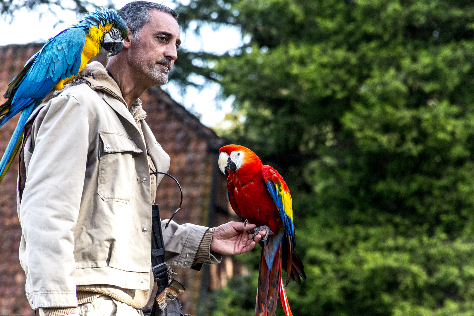 Weltvogelpark Walsrode (V)