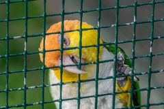 Weltvogelpark Walsrode VI