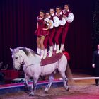 Weltweihnachtscircus 8