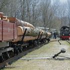 WEM 4, Holztransport