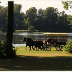 Wem das Pferd gehört, dem gehört auch die Kutsche.