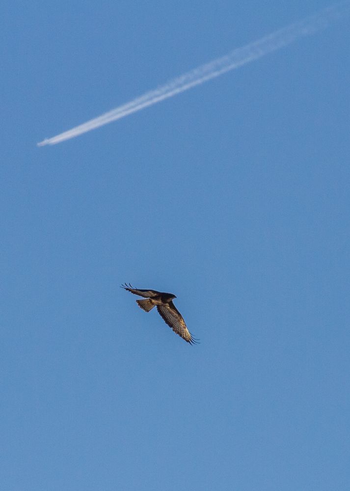 Wem gehört der Himmel?