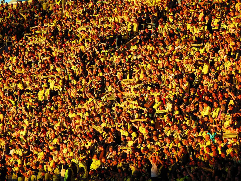 Wembley in Schwarz Gelb