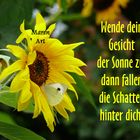 Wende dein Gesicht der Sonne zu....