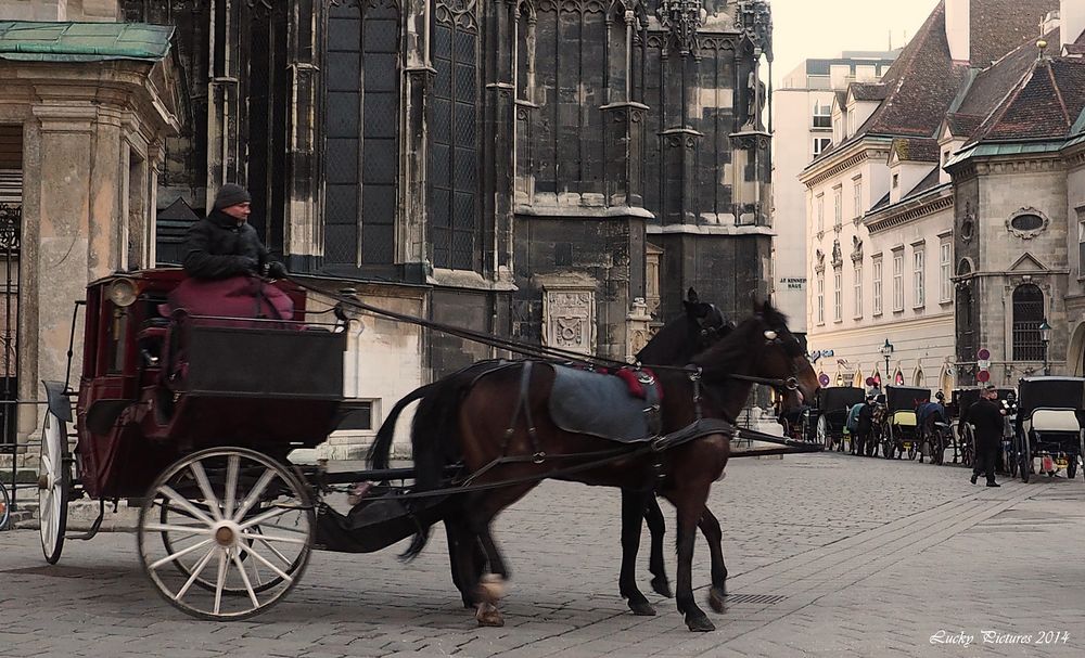 Wendekreis - Wien 01