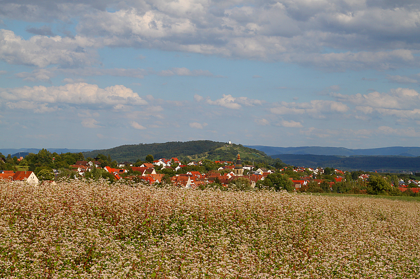 Wendelsheim am 22.08.2014