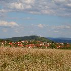 Wendelsheim am 22.08.2014