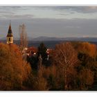 Wendelsheim im Abendlicht