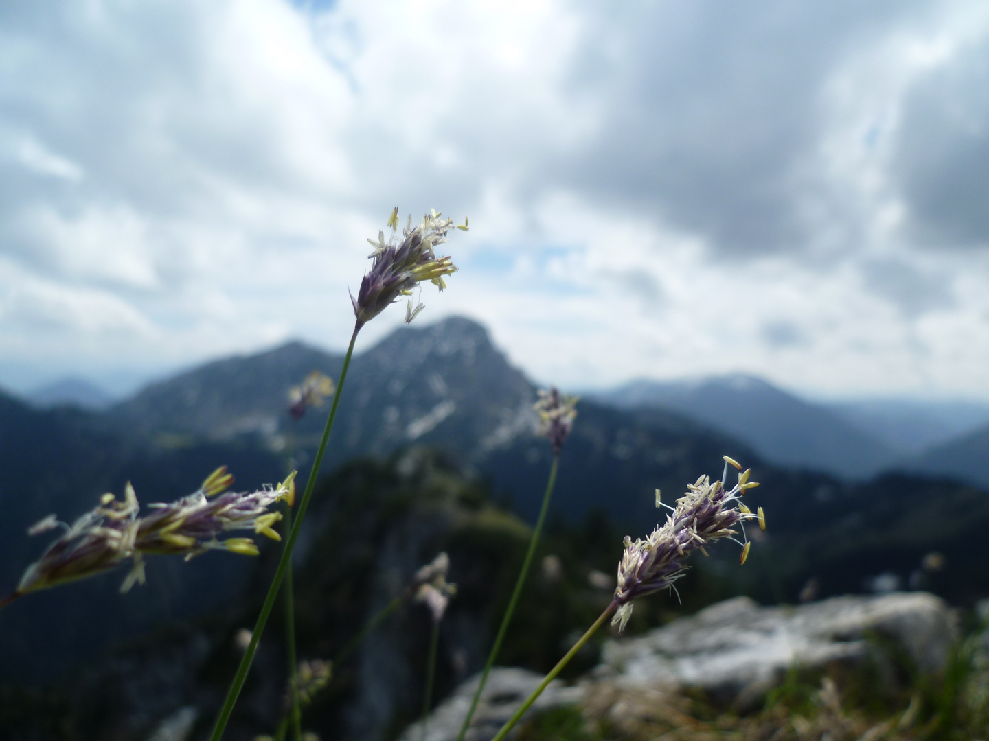 Wendelstein