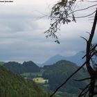 Wendelsteingruppe nahe Bayrischzell