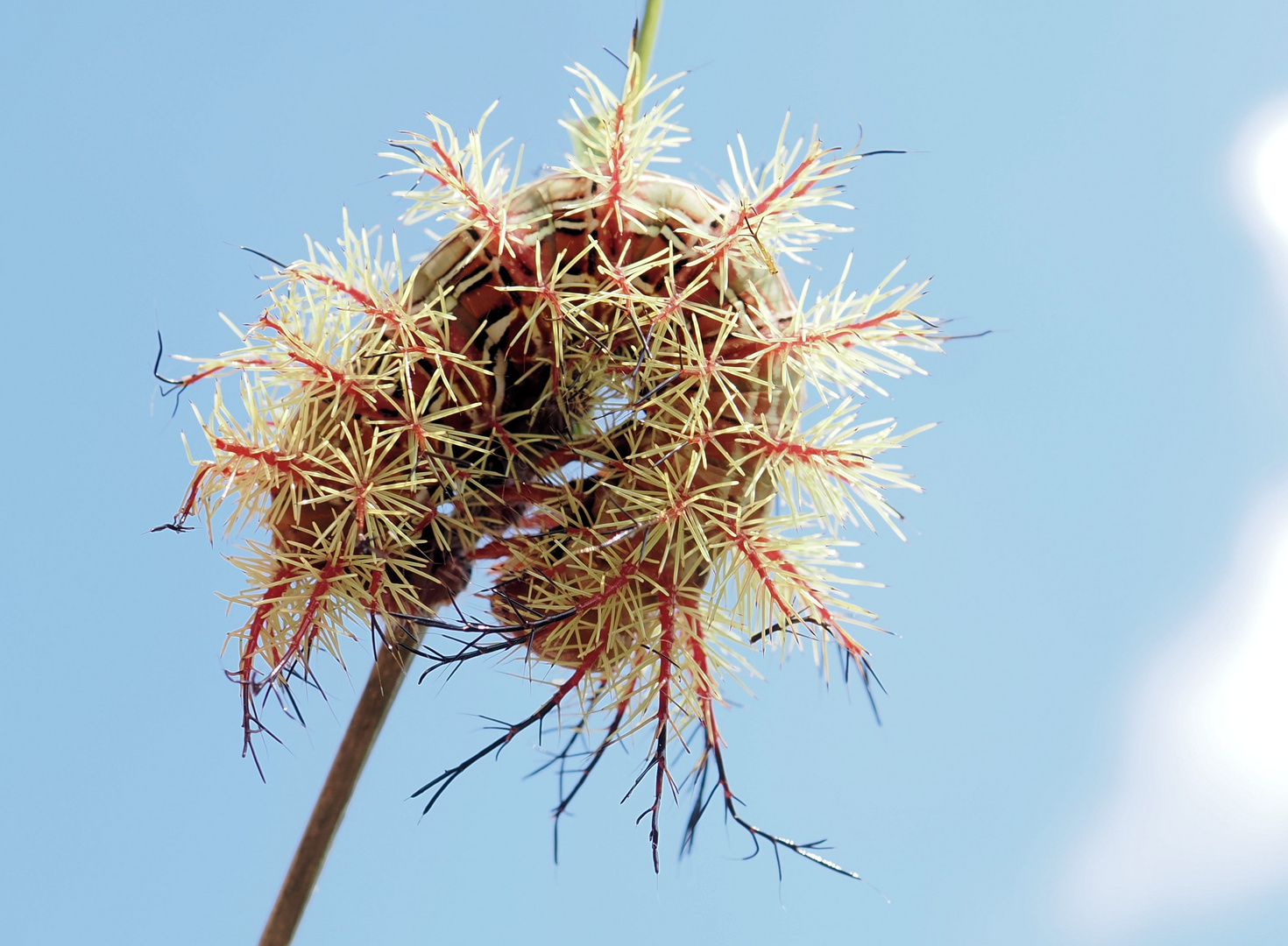 Wenden…. Foto & Bild fotos, makro, natur Bilder auf
