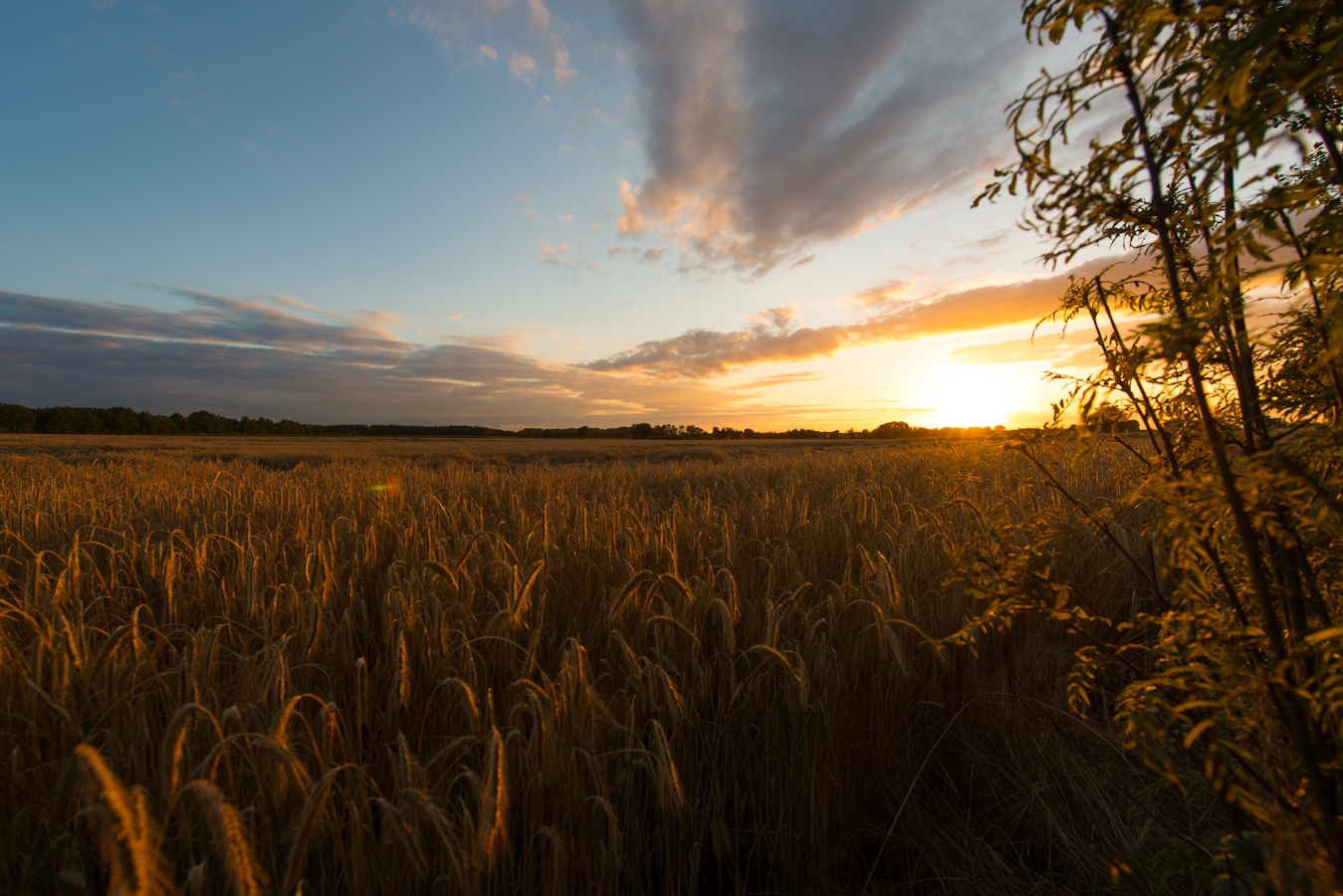 Wendland