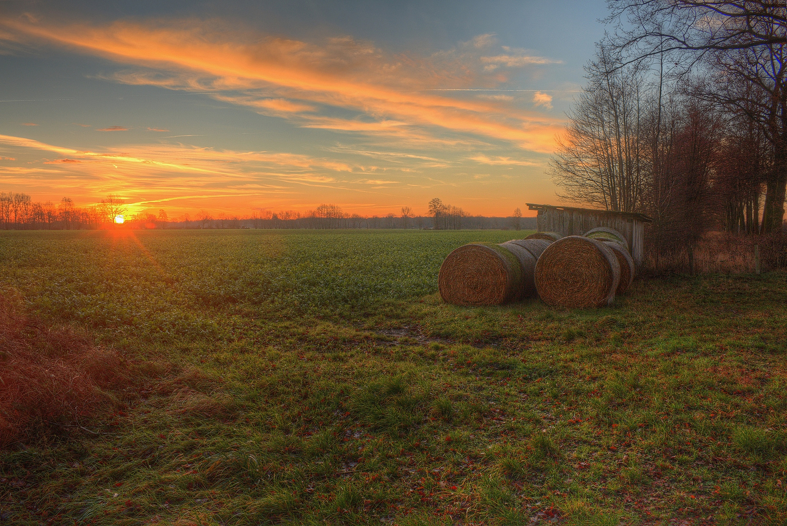 Wendland Fields