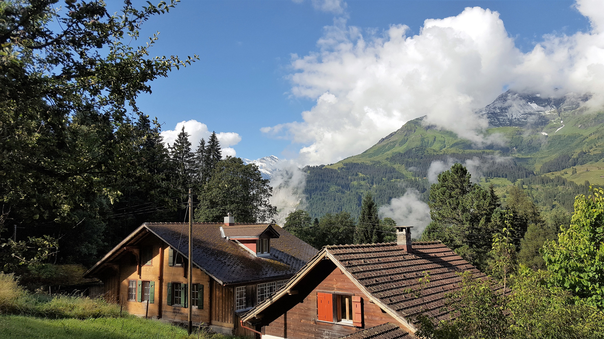 Wengen in der Schweiz