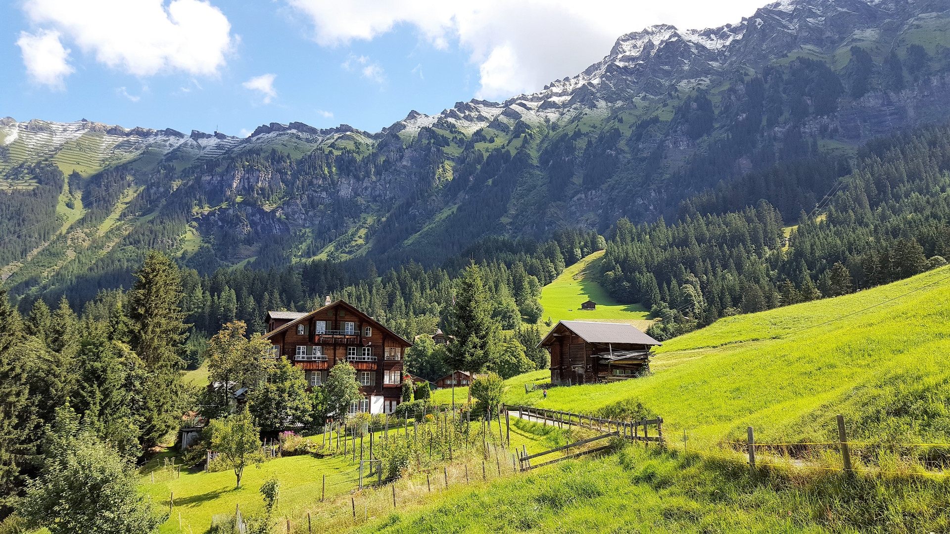 Wengen in der Schweiz