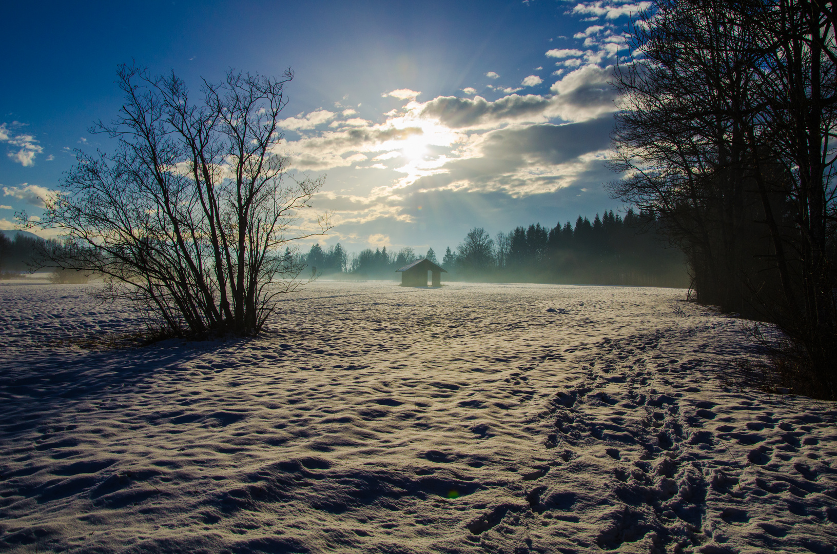 Wenger Moor - Durchblick