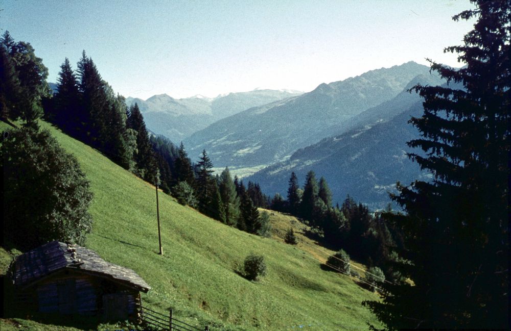 Wengern Alm