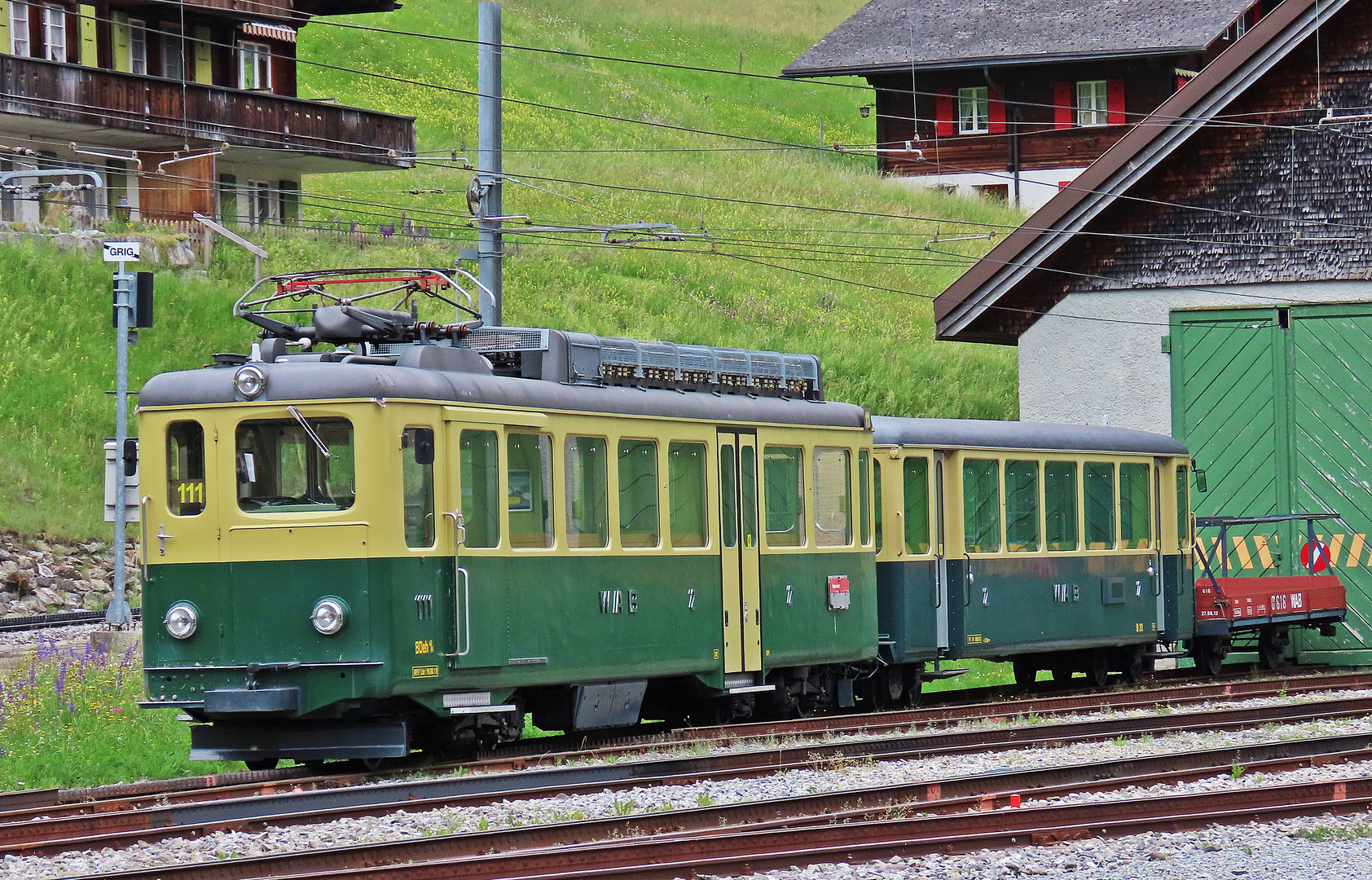 Wengernalpbahn (1)