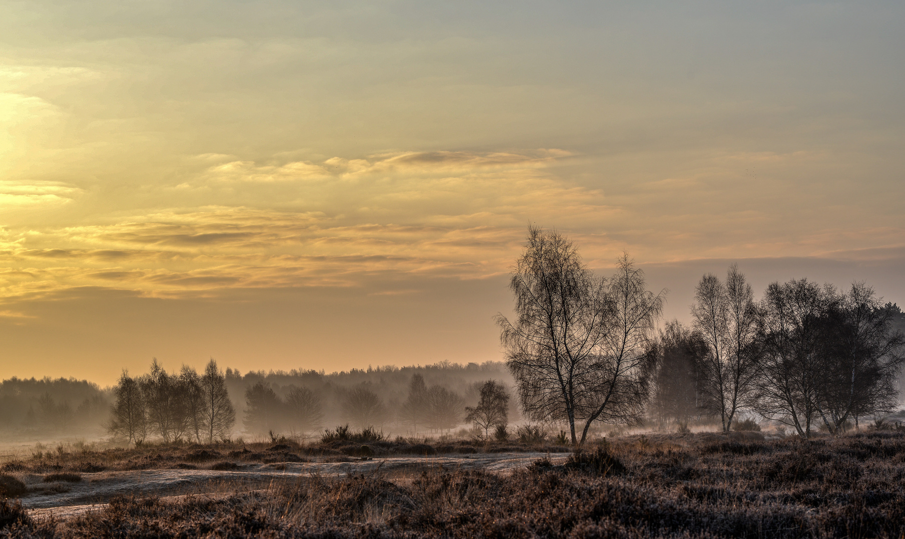 Wenig Morgennebel