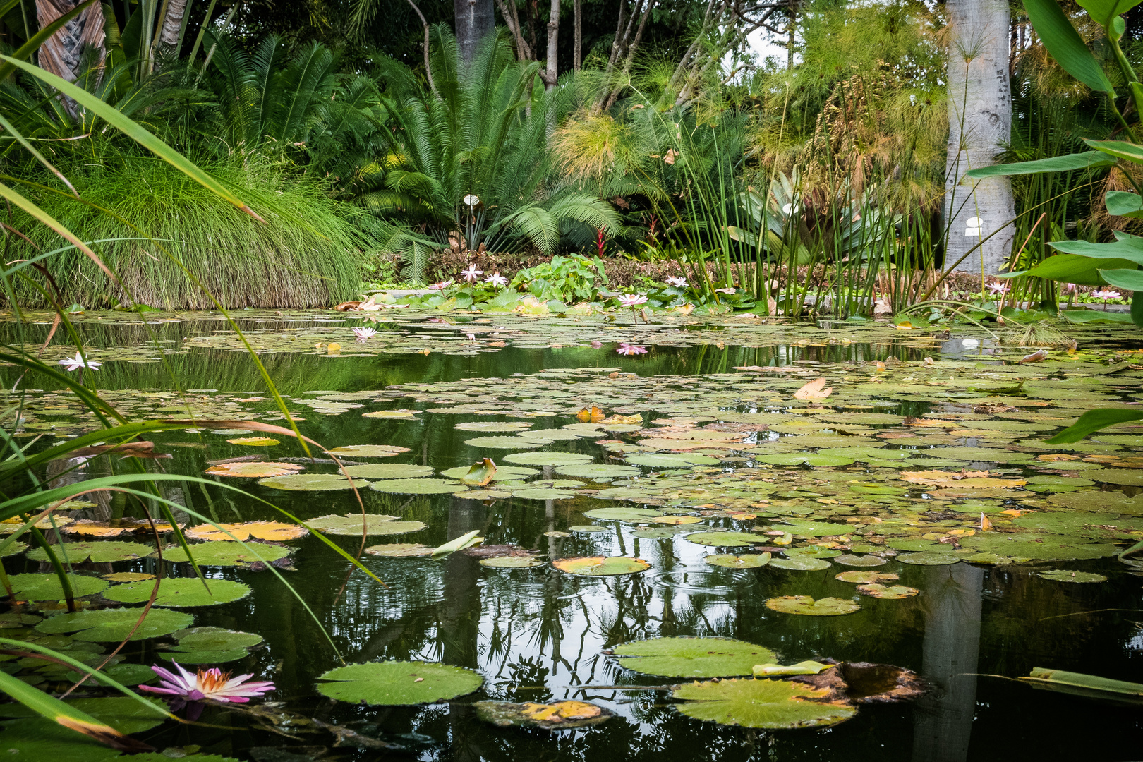 Wenig Platz für Spieglung...