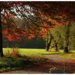 wenig Schatten und viel Licht