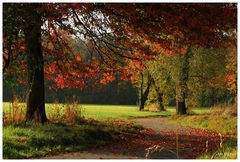 wenig Schatten und viel Licht