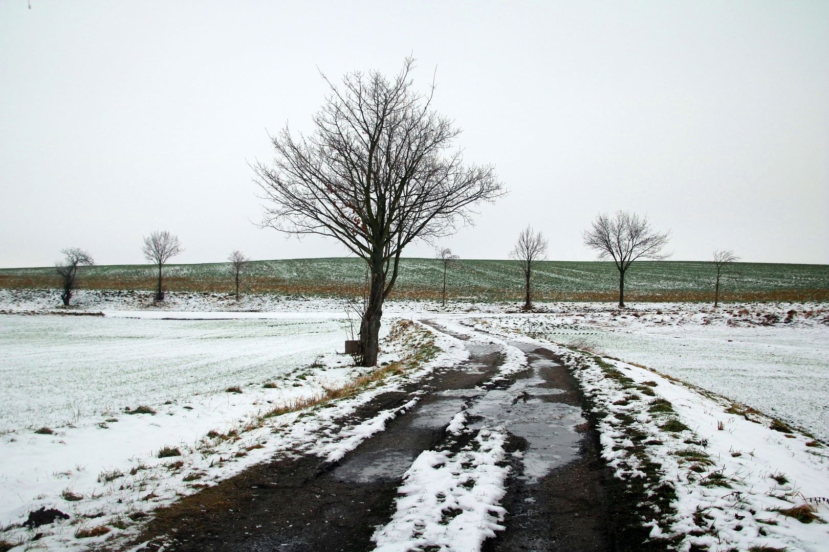 Wenig Schnee