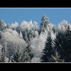 Wenig Schnee, dafür aber Kälte