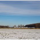 Wenig Schnee im Grossen Moos