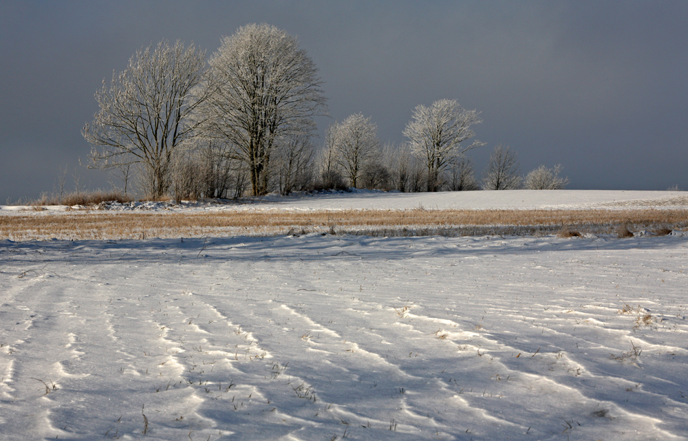 Wenig-Schnee-Winter