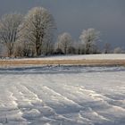 Wenig-Schnee-Winter