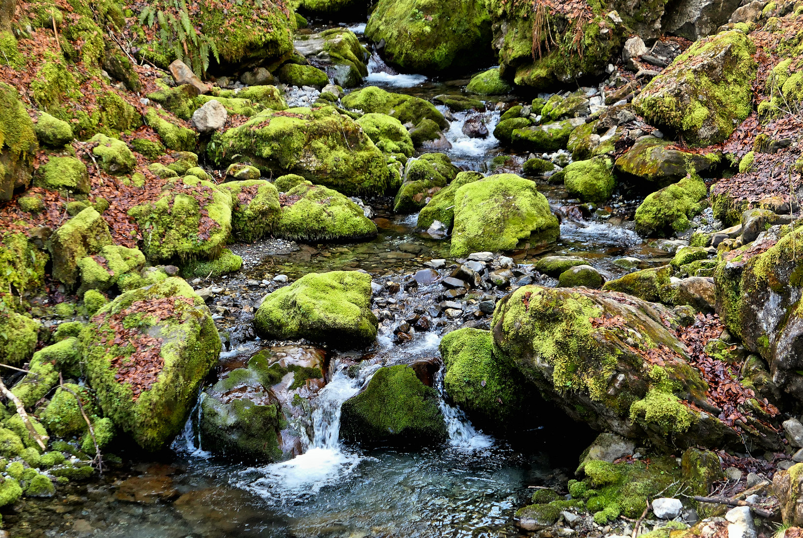 Wenig Wasser im Bergbach