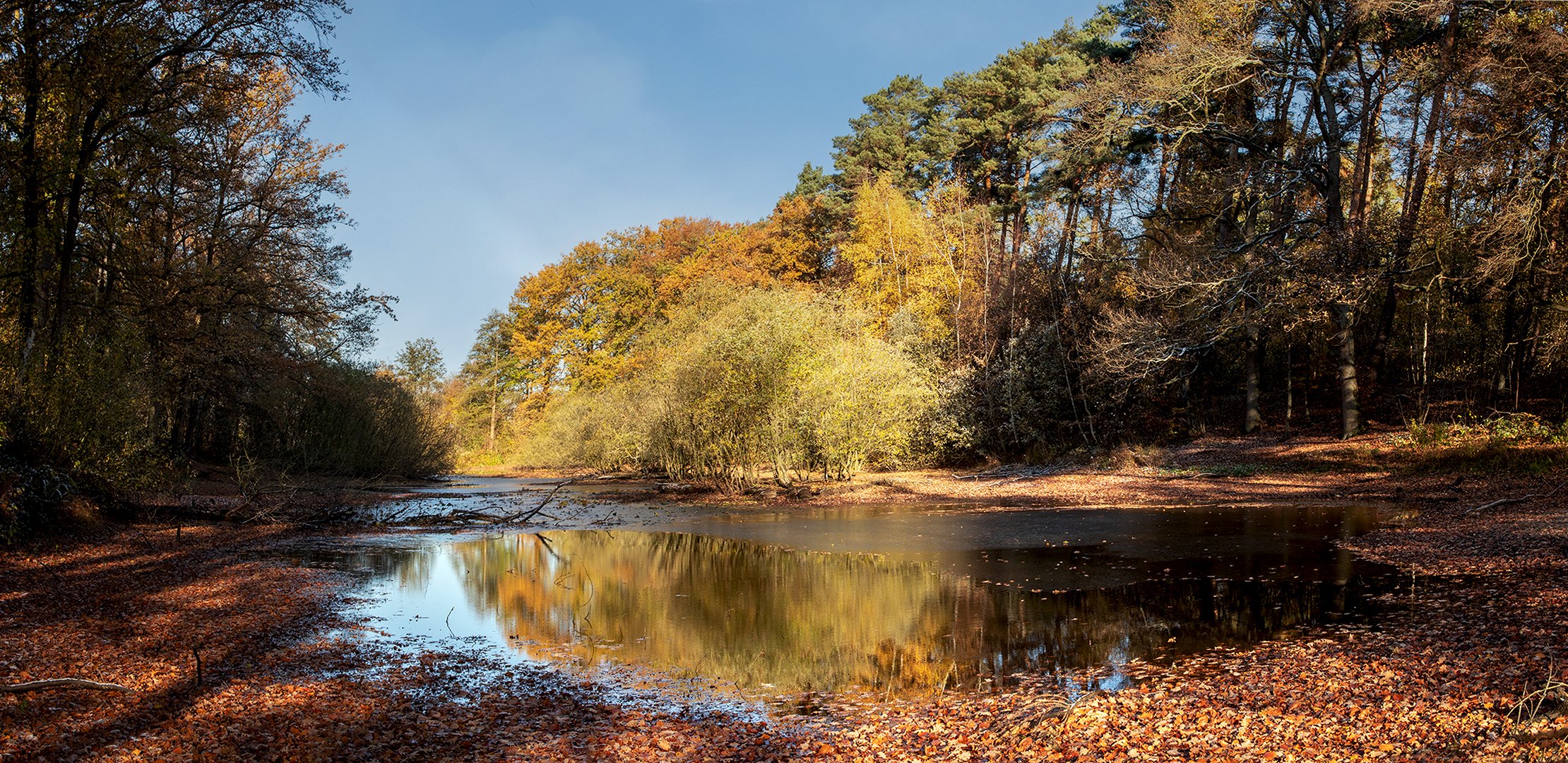 Wenig Wasser,etwas Spiegelung,viele bunte Blätter