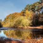 Wenig Wasser,etwas Spiegelung,viele bunte Blätter