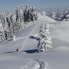 Wenige Spuren im knietiefem Schnee