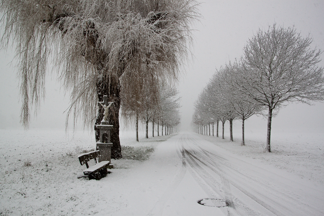 Wenige Stunden später war der Schnee wieder weg...