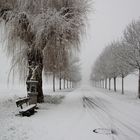 Wenige Stunden später war der Schnee wieder weg...