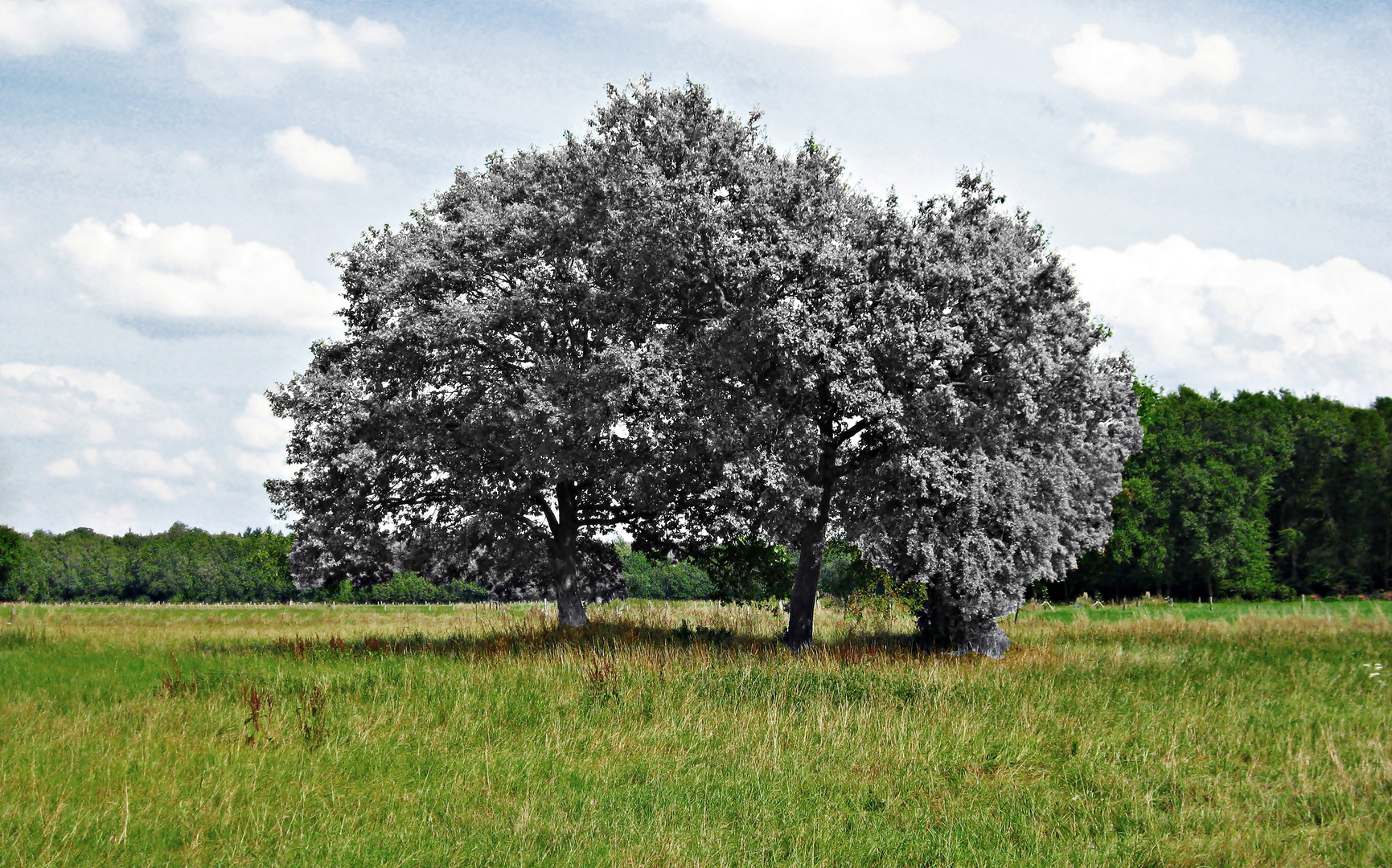 Weniger Farben