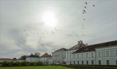 weniger Sonne