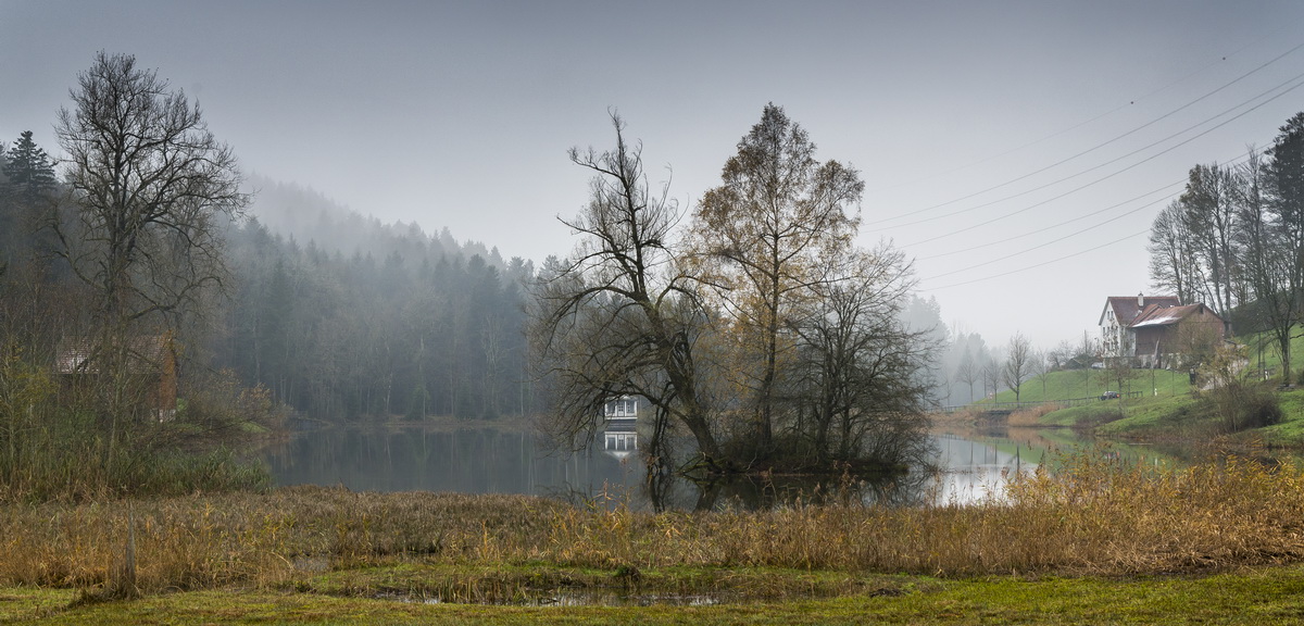 Weniger Weiher bei Nebel 2