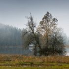 Weniger Weiher bei Nebel 2