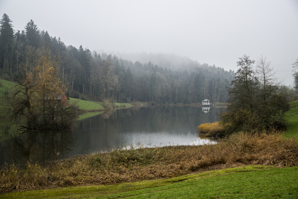 Weniger Weiher bei Nebel