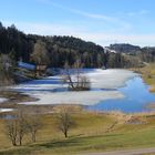 Weniger Weiher - das Eis taut