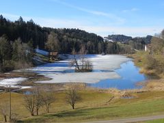 Weniger Weiher - das Eis taut