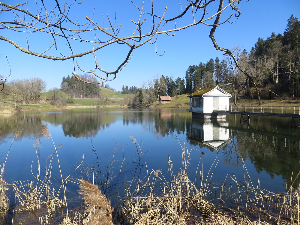 Weniger Weiher - wieder eisfrei