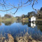 Weniger Weiher - wieder eisfrei