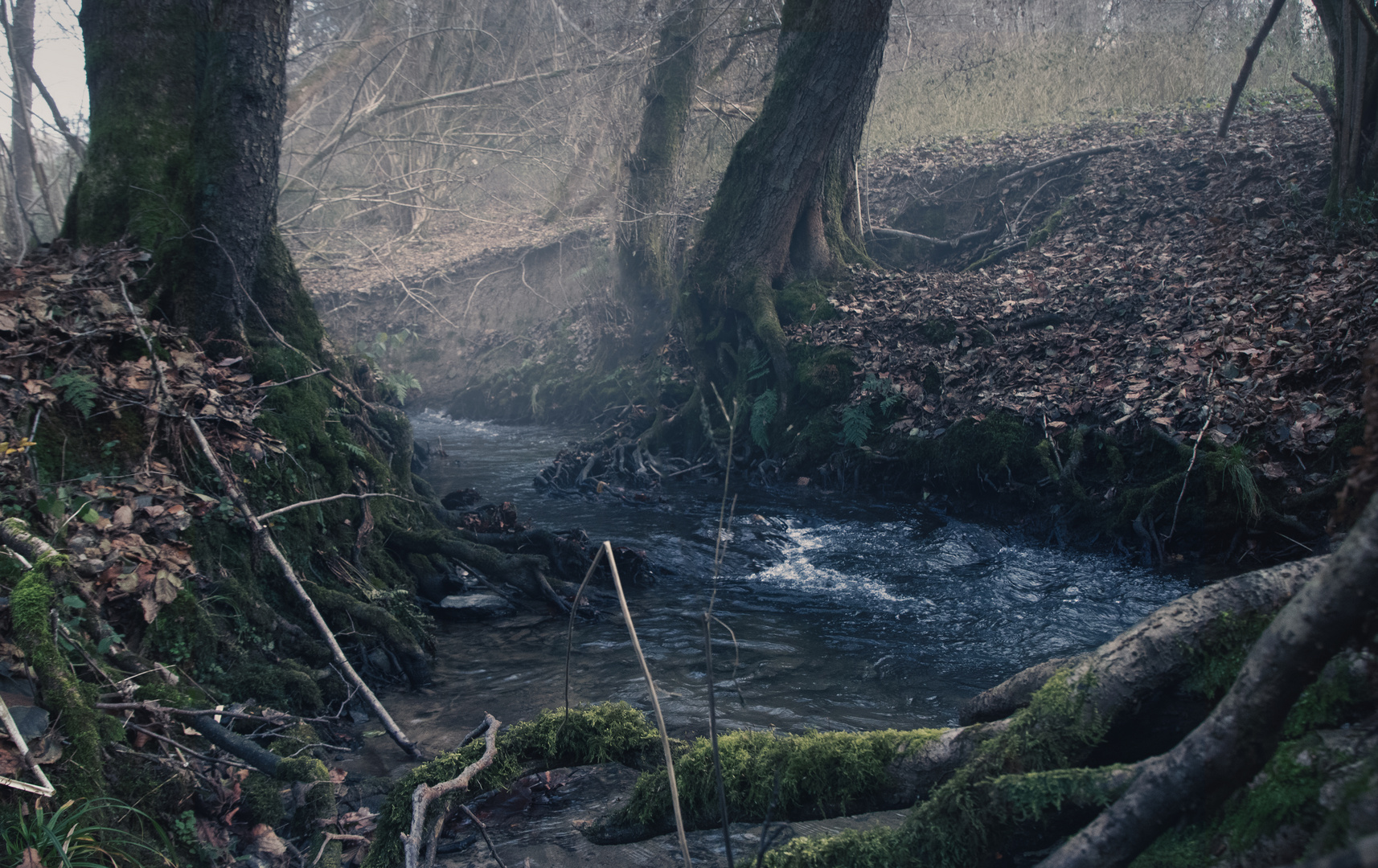 Wenigerbach, Seelscheid